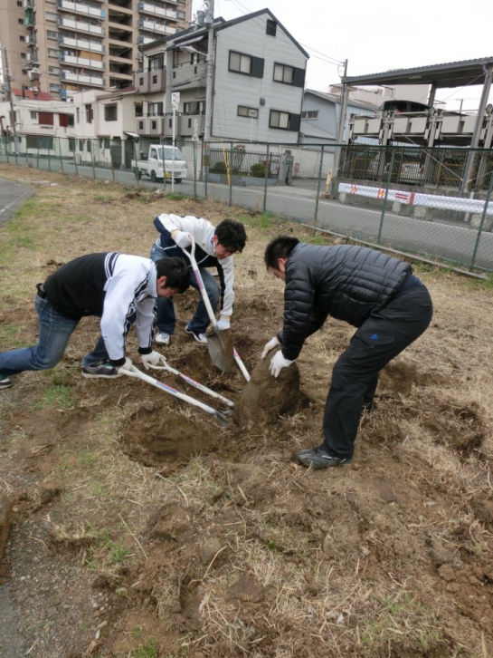 石の撤去