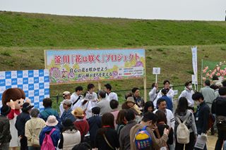 淀川「花は咲く」プロジェクト始まりました！