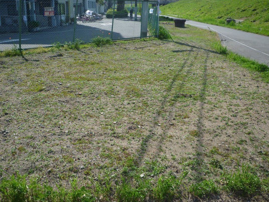 4月28日（日）の状況です。